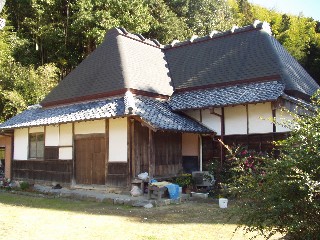 kochi02