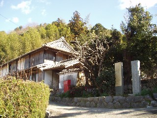 kochi01